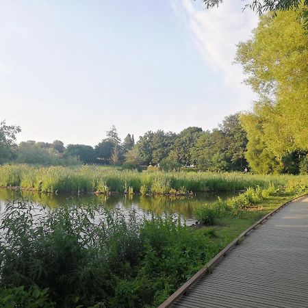 Room In A Danish Cottage With Garden View, 10 Min To Cph Gentofte Exterior foto
