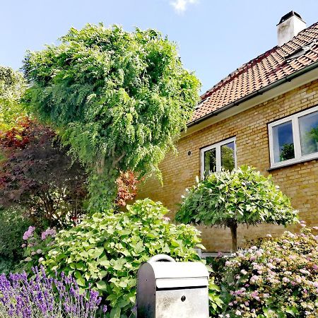 Room In A Danish Cottage With Garden View, 10 Min To Cph Gentofte Exterior foto